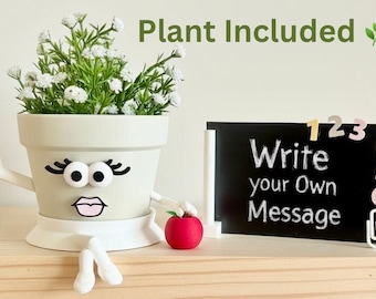 Teacher Gift Planter - Cute Face Planter with Plant Included & Drainage - Teacher Appreciation Gift - Teacher Desk Decor - Classroom Decor