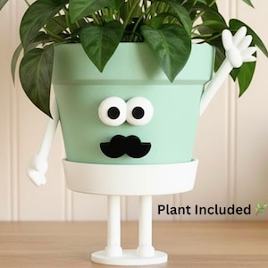 Face Planter with Plant Included & Drainage – Funny Indoor Plant Pot – Cute Desk Planter - Plant Lover Gift– Houseplant Pot - Pot Guy “Hey