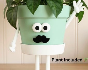 Face Planter with Plant Included & Drainage – Funny Indoor Plant Pot – Cute Desk Planter - Plant Lover Gift– Houseplant Pot - Pot Guy “Hey