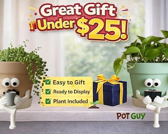 Face Planter with Plant Included & Drainage - Funny Pot  - Indoor Gardening Plant Pot - Planter for Desk or Shelves - Unique Gift - Pot Guy