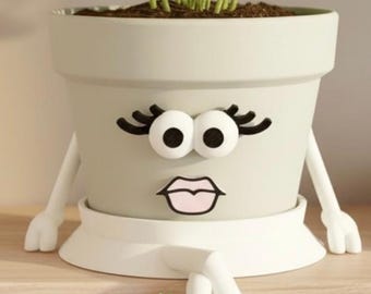 Cute Face Planter with Plant Included & Drainage - Gift for Friend - Desk Planter — Planter for Houseplant or Succulent – Pot Girl “Go On”