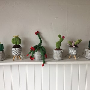 Großer gehäkelter Kaktus mit Blumen, 7,5 cm x 8 cm Keramiktopf, künstliche  Pflanze zur Dekoration, Amigurumi verschiedene Größen und Farben -   Schweiz
