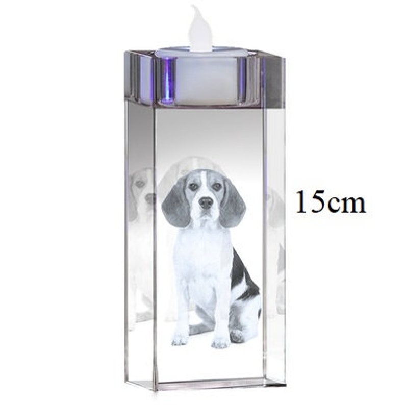 Personalisiert 3D Ultraschall Kristallkugel - Gravur Mit Holzsockel Geschenk