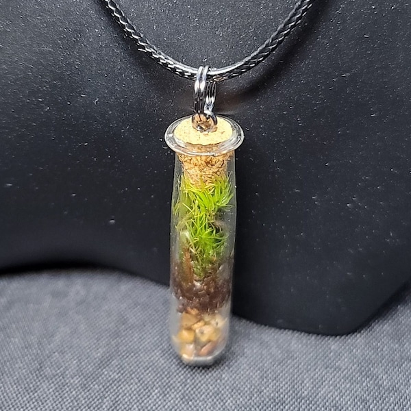 Terrarium Necklace Etsy