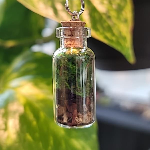 Terrarium Necklace Etsy