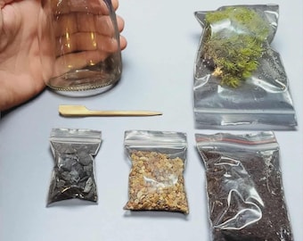 DIY Live Moss Terrarium Kit, Small Glass Jar