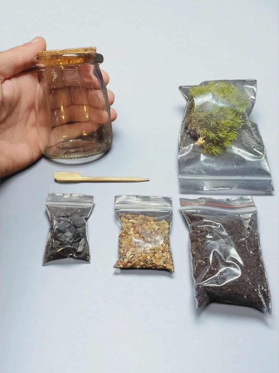 DIY Live Moss Terrarium Kit, Small Glass Jar