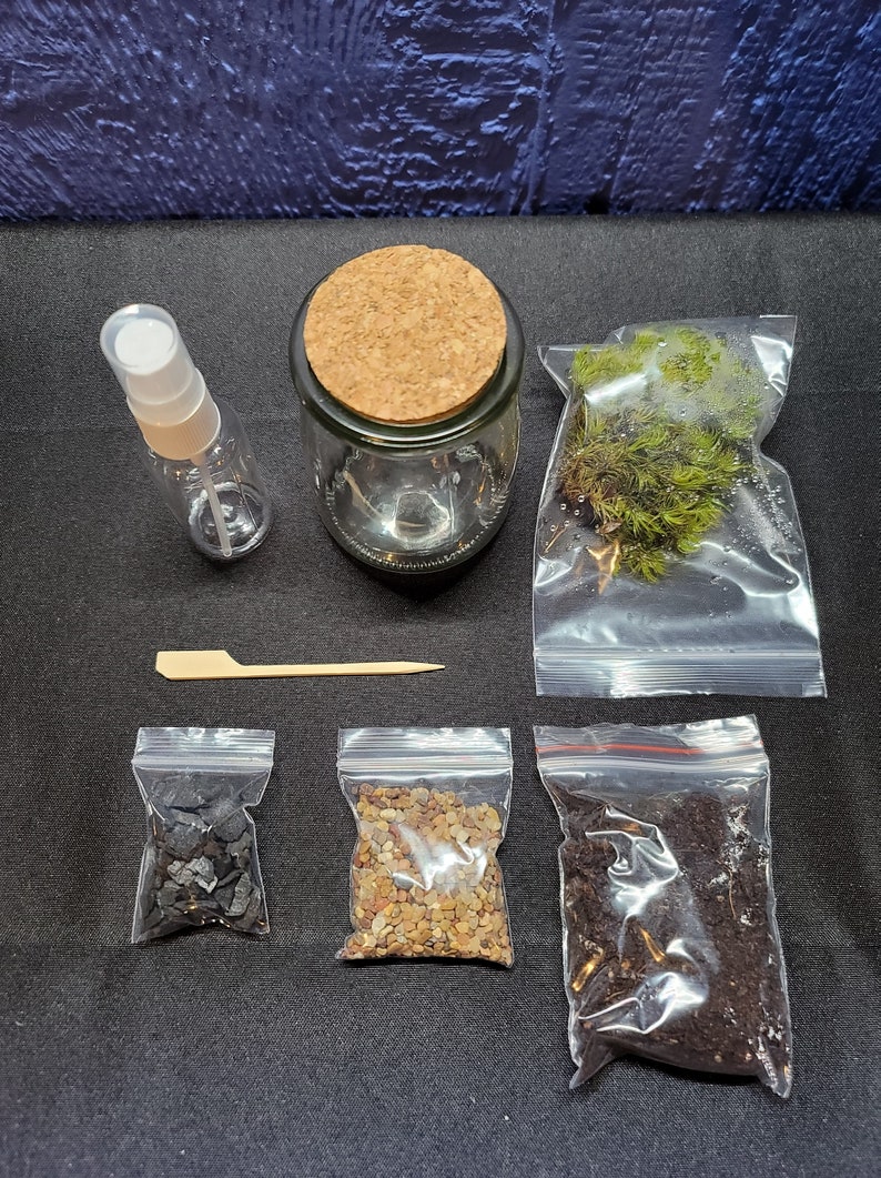 DIY Terrarium Kit Terrarium Create Your Own Terrarium DIY Etsy