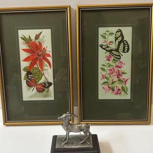 アカハシウミアイサ　イギリス　コベントリー　Cash’s 社　シルク織刺繍絵 アカハシウミアイサ イギリス コベントリー Cash's 社 シルク織
