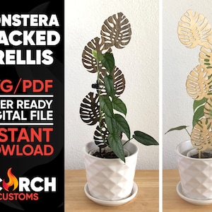 Monstera Stacked Trellis - Digital File - SVG