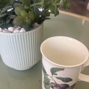 May include: A white ceramic mug with a green and purple floral design featuring plums. The mug has a handle and is sitting on a green surface next to a white planter with a green succulent plant.