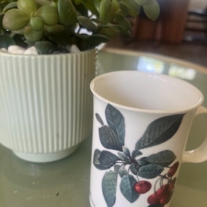Dunoon Fine Bone China - Cherry & Pear Coffee Cup Mug Made In England. free shipping