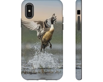 Pintail Drake Tough Cases