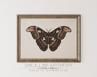 Vintage Atlas Moth Print | Dark Cottagecore Moody Victorian Insect Printable Wall Art | Dark Academia Aesthetic | Digital Download