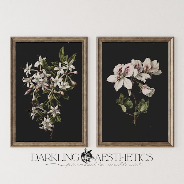 Set of 2 Dark Geranium and Azalea Floral Prints | Vintage Moody Botanical Printable Wall Art | Dark Academia Aesthetic | Digital Download