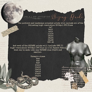 Set of 8 Dark Cottagecore Prints | Vintage Moody Dark Forest Academia Printable Gallery Wall Art | Mushrooms, Rabbit, Owl | Digital Download image 7