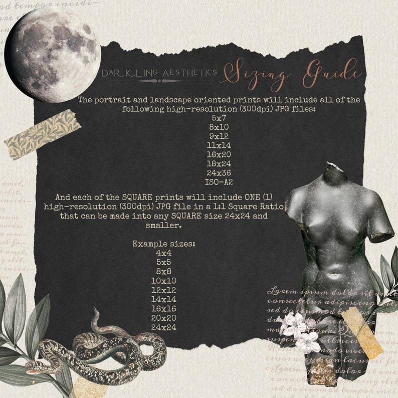 Set of 8 Dark Cottagecore Prints | Vintage Moody Dark Forest Academia Printable Gallery Wall Art | Mushrooms, Rabbit, Owl | Digital Download image 7