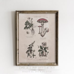Vintage Giftpflanzen Botanik Print | Cottagecore Küche Druckbare Wandkunst | Dark Academia Ästhetik | Digitaler Download