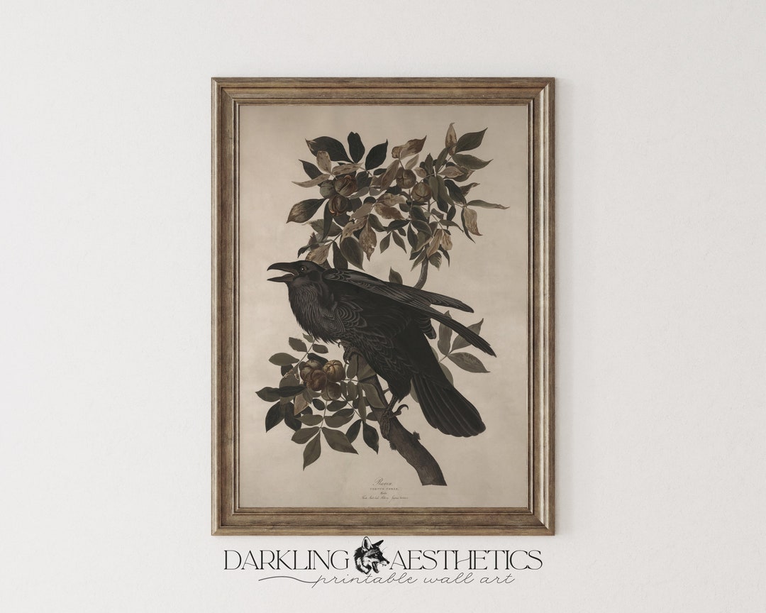 Vintage Raven Study Print | Moody Dark Cottagecore Victorian Chart ...