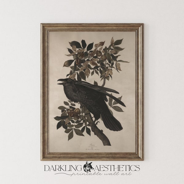 Vintage Raven Study Print | Moody Dark Cottagecore Victorian Chart Printable Wall Art | Dark Academia Aesthetic | Digital Download