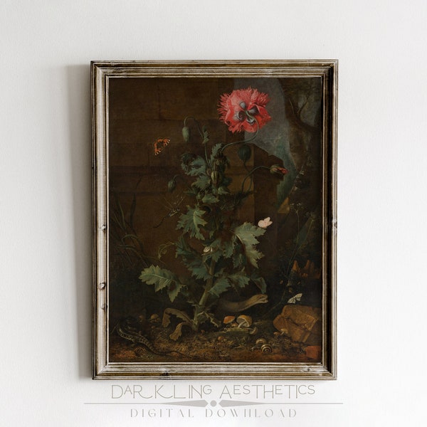 Poppy Plant Botanical Print | Vintage Moody Floral Cottagecore Printable Wall Art | Dark Academia Aesthetic | Digital Download