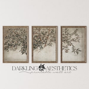 Set of 3 Split Apple Tree Branch Prints | Vintage Moody Botanical Cottagecore Printable Wall Art | Dark Academia | Digital Download