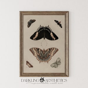 Butterfly Study Print | Vintage Moody Cottagecore Insect Ephemera Chart Printable Wall Art | Dark Academia Aesthetic | Digital Download