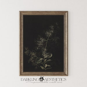 Dark Botanical Print 01 | Vintage Moody Victorian Floral Cottagecore Printable Wall Art | Dark Academia Aesthetic | Digital Download