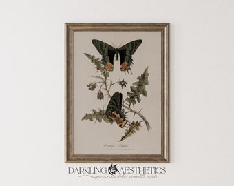 Butterfly Chart Print | Vintage Moody Victorian Insect Cottagecore Printable Wall Art | Dark Academia Aesthetic | Digital Download
