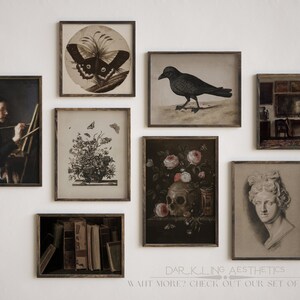May include: A collection of eight framed prints with a dark aesthetic. The prints feature a variety of subjects, including a butterfly, a crow, a skull, a bust of a woman, a still life with flowers, a woman painting, and a stack of books.