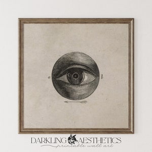Victorian Eye Square Print | Vintage Moody Anatomy Dark Academia Printable Wall Art | Dark Cottagecore Aesthetic | Digital Download
