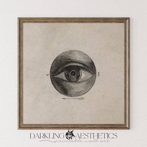 Victorian Eye Square Print | Vintage Moody Anatomy Dark Academia Printable Wall Art | Dark Cottagecore Aesthetic | Digital Download