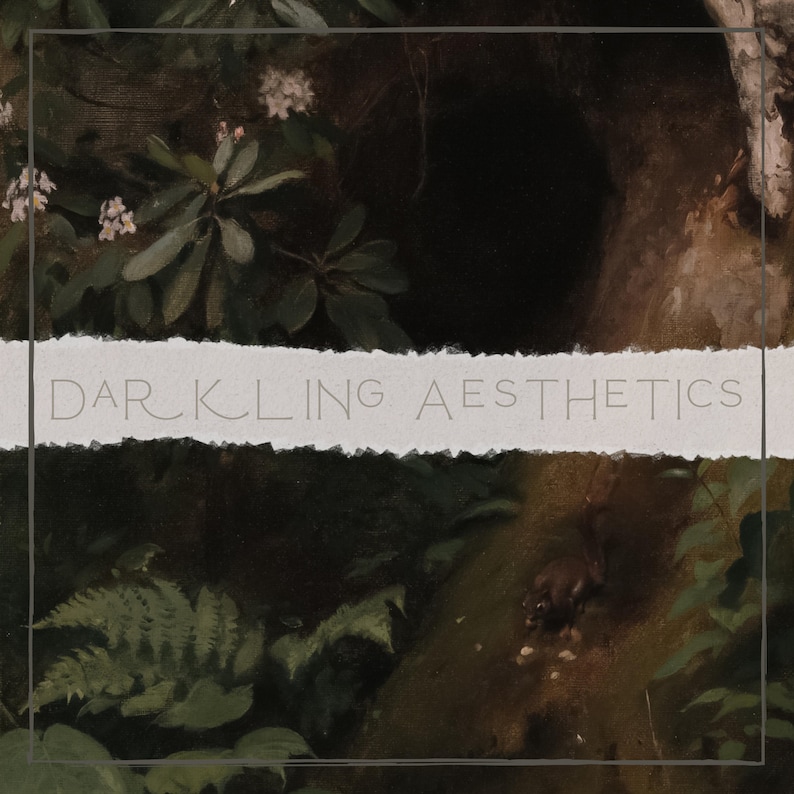 Set of 8 Dark Cottagecore Prints | Vintage Moody Dark Forest Academia Printable Gallery Wall Art | Mushrooms, Rabbit, Owl | Digital Download image 8