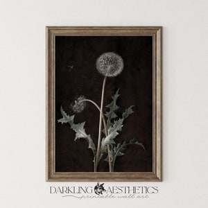 Dark Dandelion Print | Vintage Moody Victorian Floral Cottagecore Botanical Printable Wall Art | Dark Academia Aesthetic | Digital Download