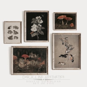 Set of 5 Cottagecore Prints | Vintage Dark Moody Victorian Botanical Mushrooms, Birds, & Frogs Printable Gallery Wall Art | Digital Download