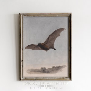 Vampire Bat with Clouds Study Sketch | Vintage Moody Victorian Cottagecore Printable Wall Art | Dark Academia Aesthetic | Digital Download