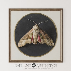 Vintage Victorian Moth Print | Moody Dark Cottagecore Insect Square Printable Wall Art | Dark Academia Aesthetic | Digital Download
