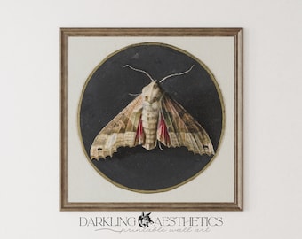 Vintage viktorianischer Mottendruck | Stimmungsvolle dunkle Cottagecore Insekt quadratische druckbare Kunst | Dark Academia Ästhetik | Digitaler Download