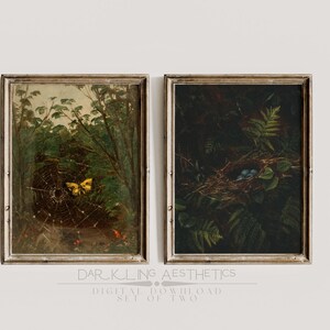 May include: Two framed vintage illustrations of a forest scene. The first image shows a yellow butterfly on a spider web. The second image shows a bird's nest with blue eggs.