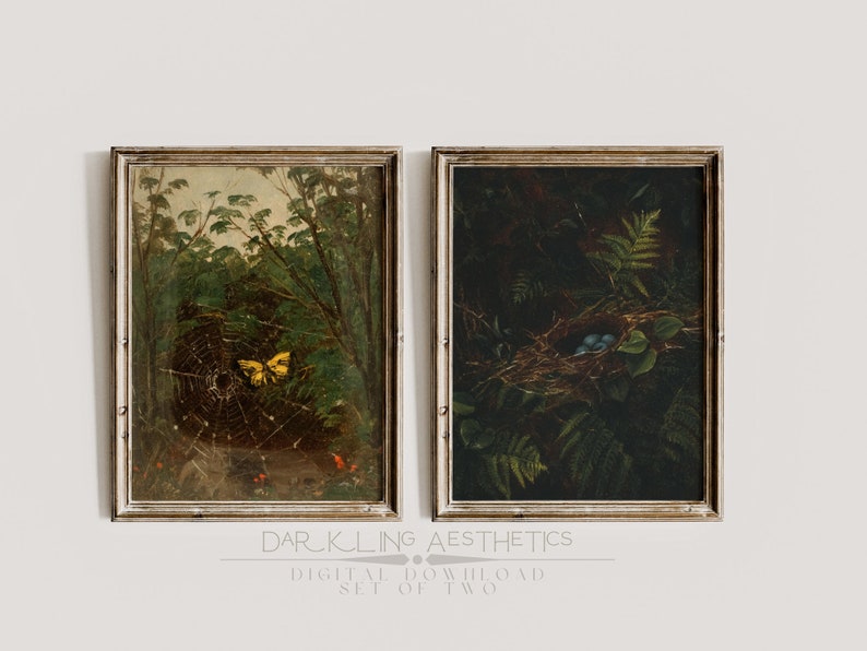 May include: Two framed vintage illustrations of a forest scene. The first image shows a yellow butterfly on a spider web. The second image shows a bird's nest with blue eggs.