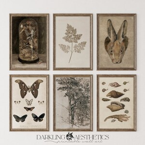 Set of 6 Neutral Cottagecore Prints | Vintage Moody Dark Academia Printable Gallery Wall Art | Butterfly, Rabbit, Trees | Digital Download