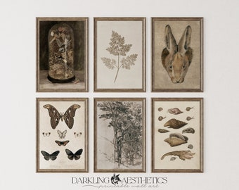Set of 6 Neutral Cottagecore Prints | Vintage Moody Dark Academia Printable Gallery Wall Art | Butterfly, Rabbit, Trees | Digital Download
