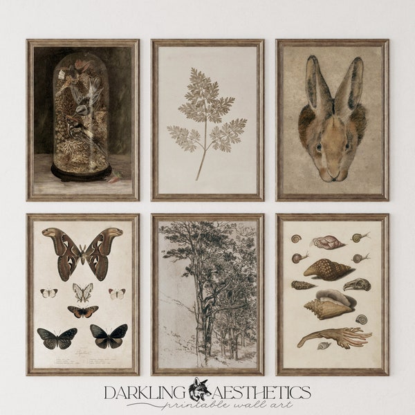Conjunto de 6 impresiones Cottagecore neutrales / Vintage Moody Dark Academia Imprimible Galería Arte de pared / Mariposa, Conejo, Árboles / Descarga digital