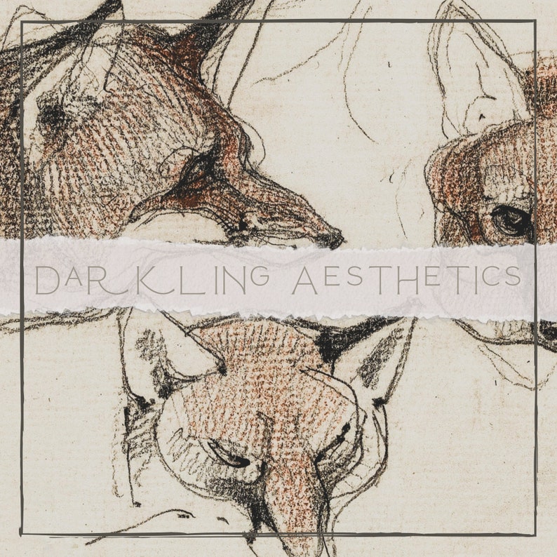 May include: A pencil drawing of three fox faces, with the text "Darkling Aesthetics" across the middle of the image.