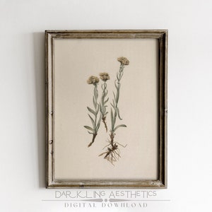 Impressão dos Wildflowers do vintage de <br> Entrega Rápida? Arte de parede para impressão de florais escuros de planta botânica Cottagecore | Estética Dark Academia | Download digital