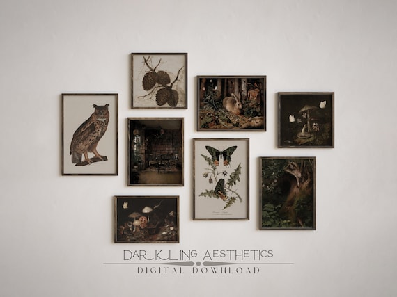 Set of 8 Dark Cottagecore Prints | Vintage Moody Dark Forest Academia Printable Gallery Wall Art | Mushrooms, Rabbit, Owl | Digital Download
