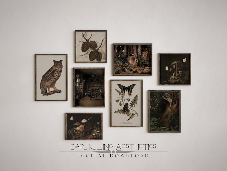 Set of 8 Dark Cottagecore Prints | Vintage Moody Dark Forest Academia Printable Gallery Wall Art | Mushrooms, Rabbit, Owl | Digital Download image 1