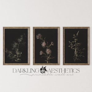 Set of 3 Dark Botanicals Prints | Vintage Moody Victorian Floral Cottagecore Printable Gallery Wall Art | Dark Academia | Digital Download