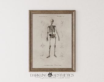 Skeleton Chart Print | Vintage Moody Dark Cottagecore Halloween Gothic Printable Wall Art | Dark Academia Aesthetic | Digital Download
