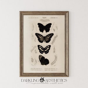 Dark Butterflies Print | Vintage Moody Victorian Insect Chart Cottagecore Printable Wall Art | Dark Academia Aesthetic | Digital Download